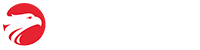Wizard by Pearson
